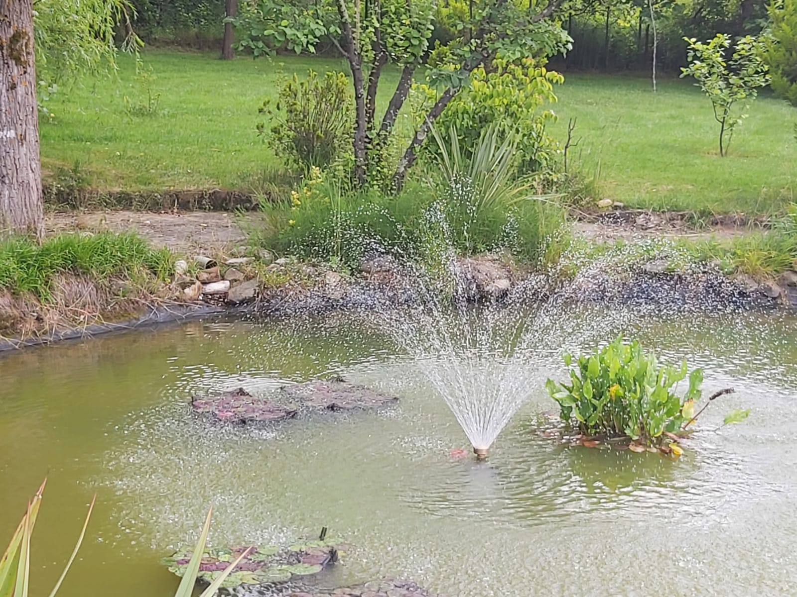 Casa lavanda hotel biyilojik golet 1