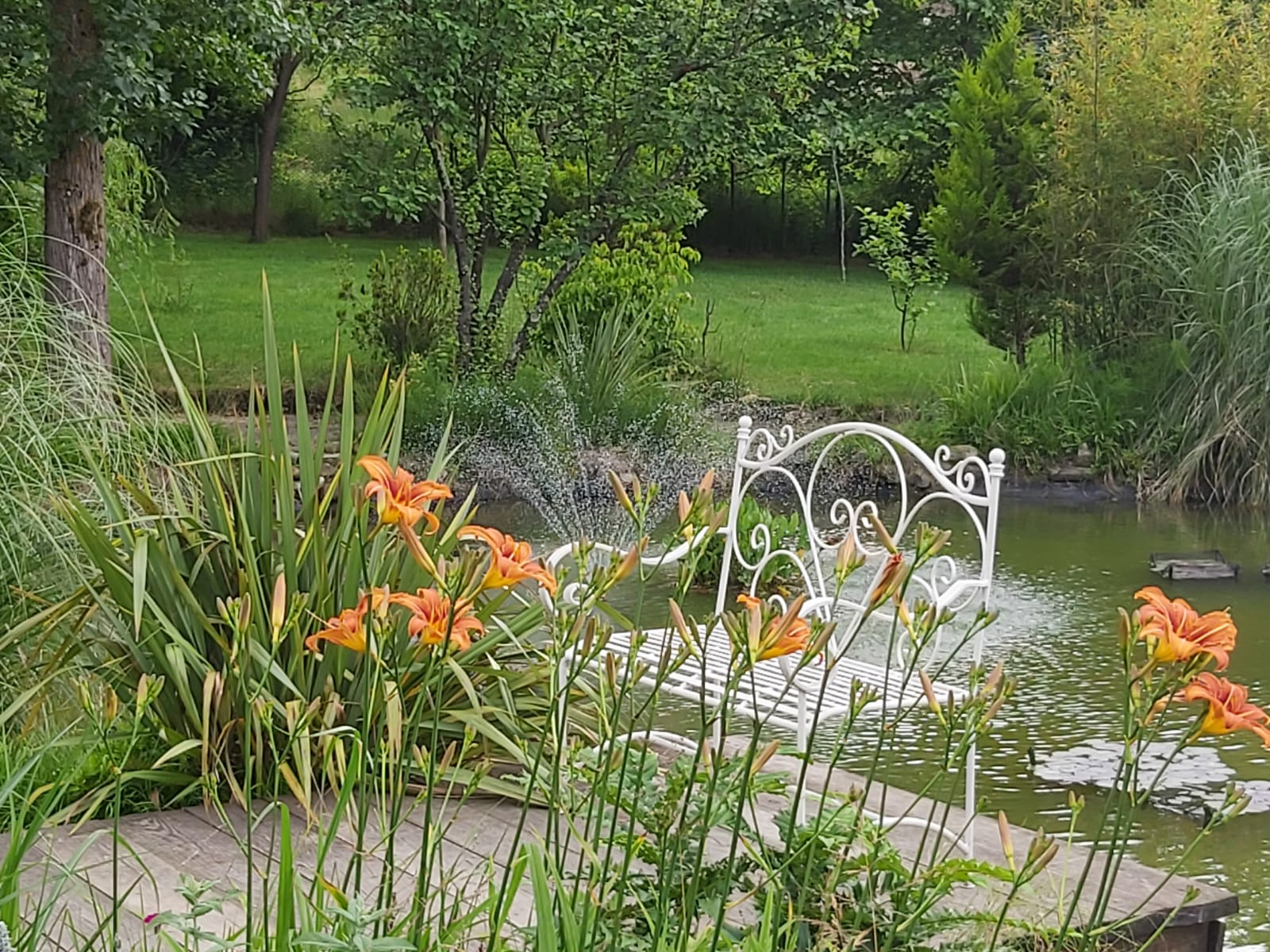 Casa lavanda hotel biyilojik golet 2