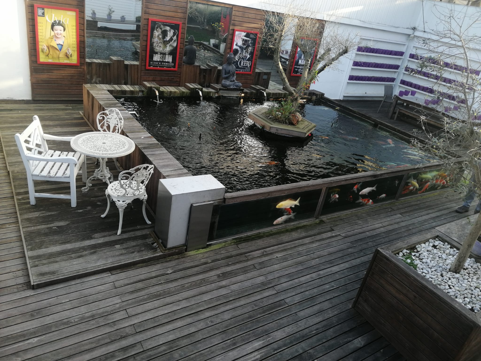 Mustafa Uslu Dijital sanatlar cam havuz