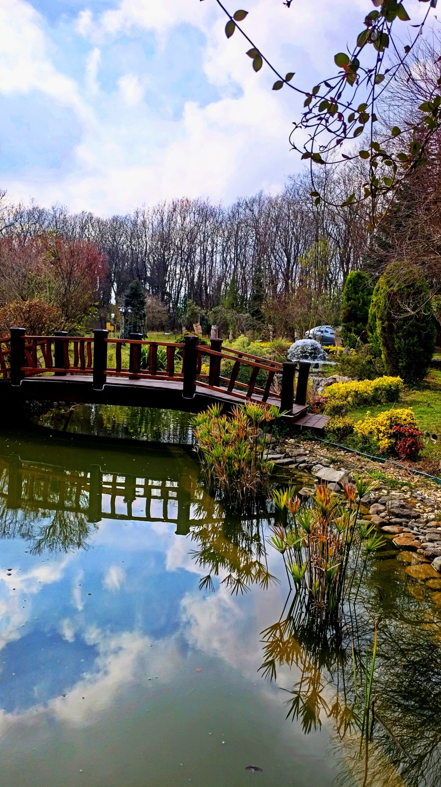 Nazli ciftlik biyolojik koi goleti 2 scaled