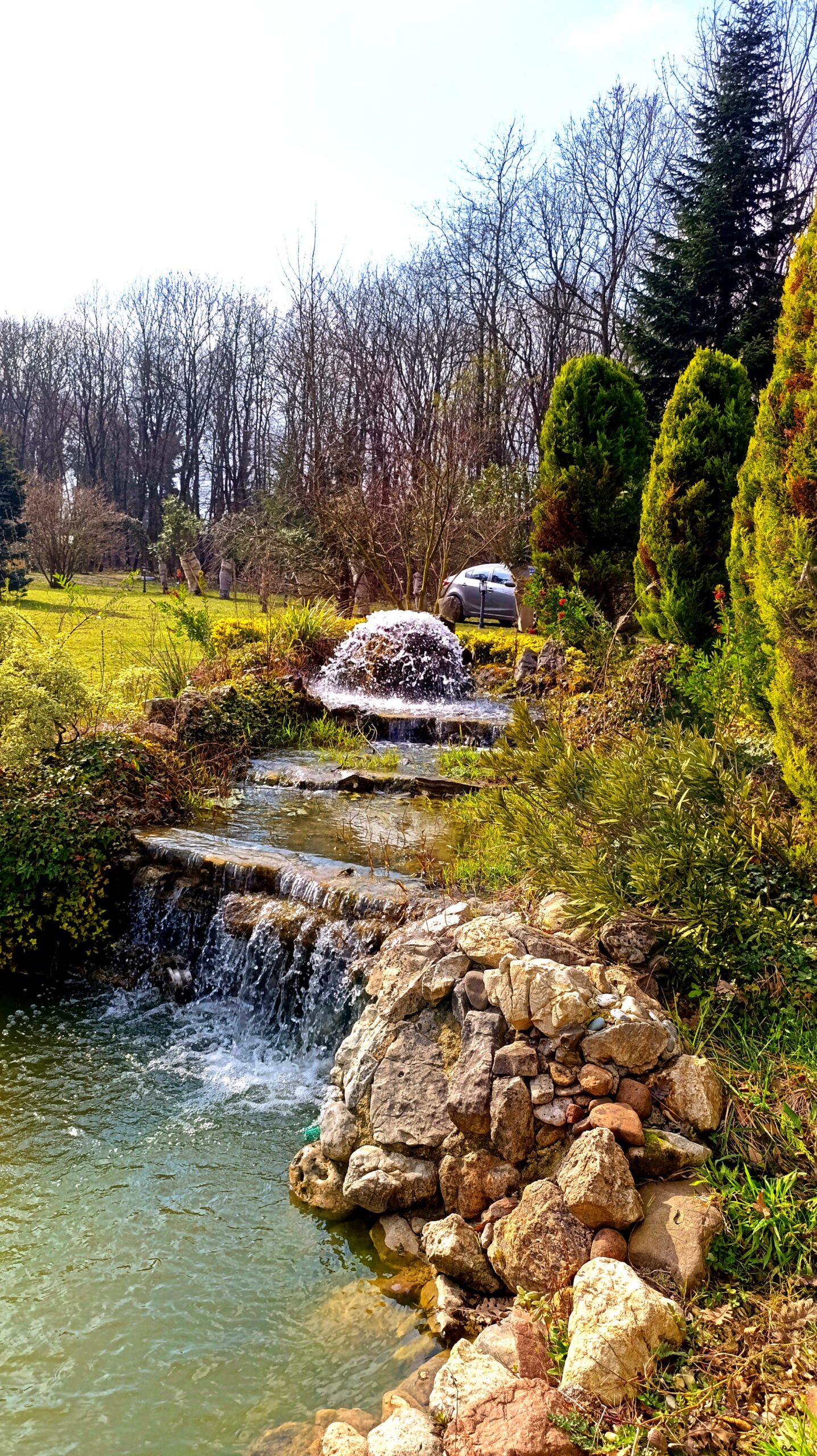 Nazli ciftlik biyolojik koi goleti scaled