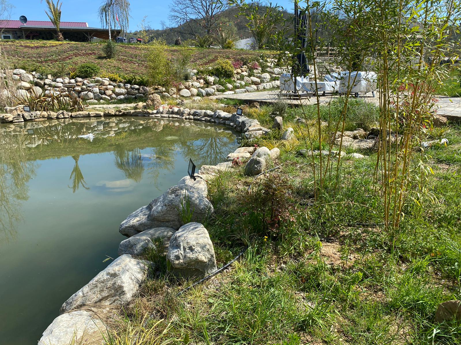 Sevindikli at ciftligi biyolojik golet