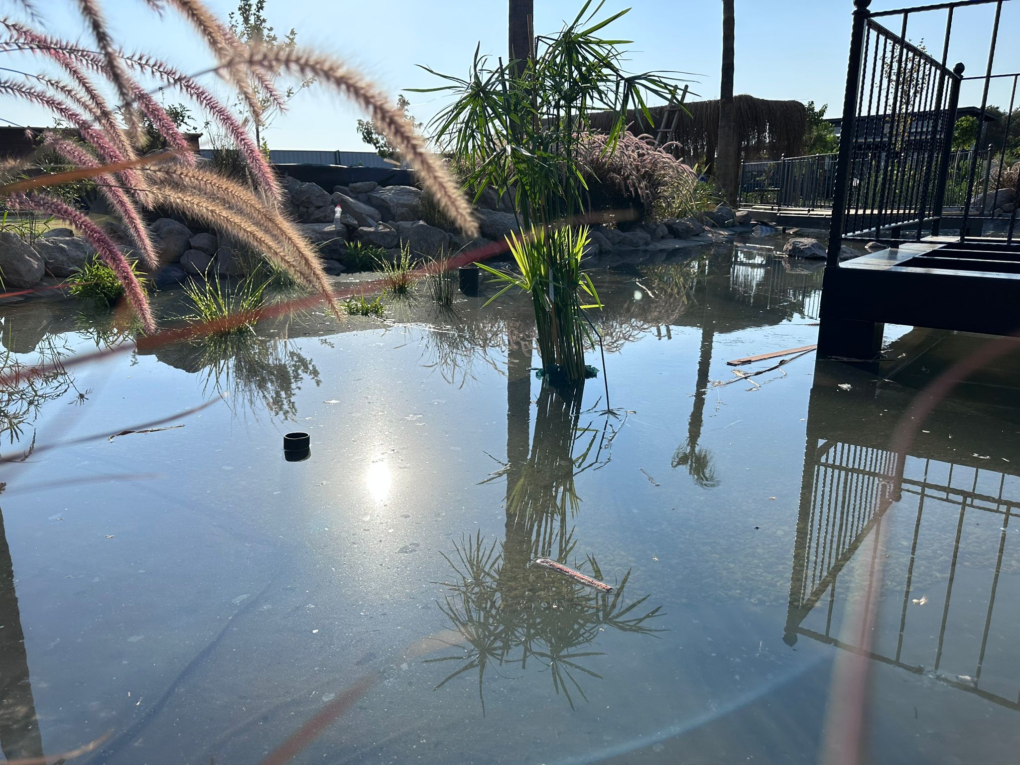 alacati biyolojik golet 2