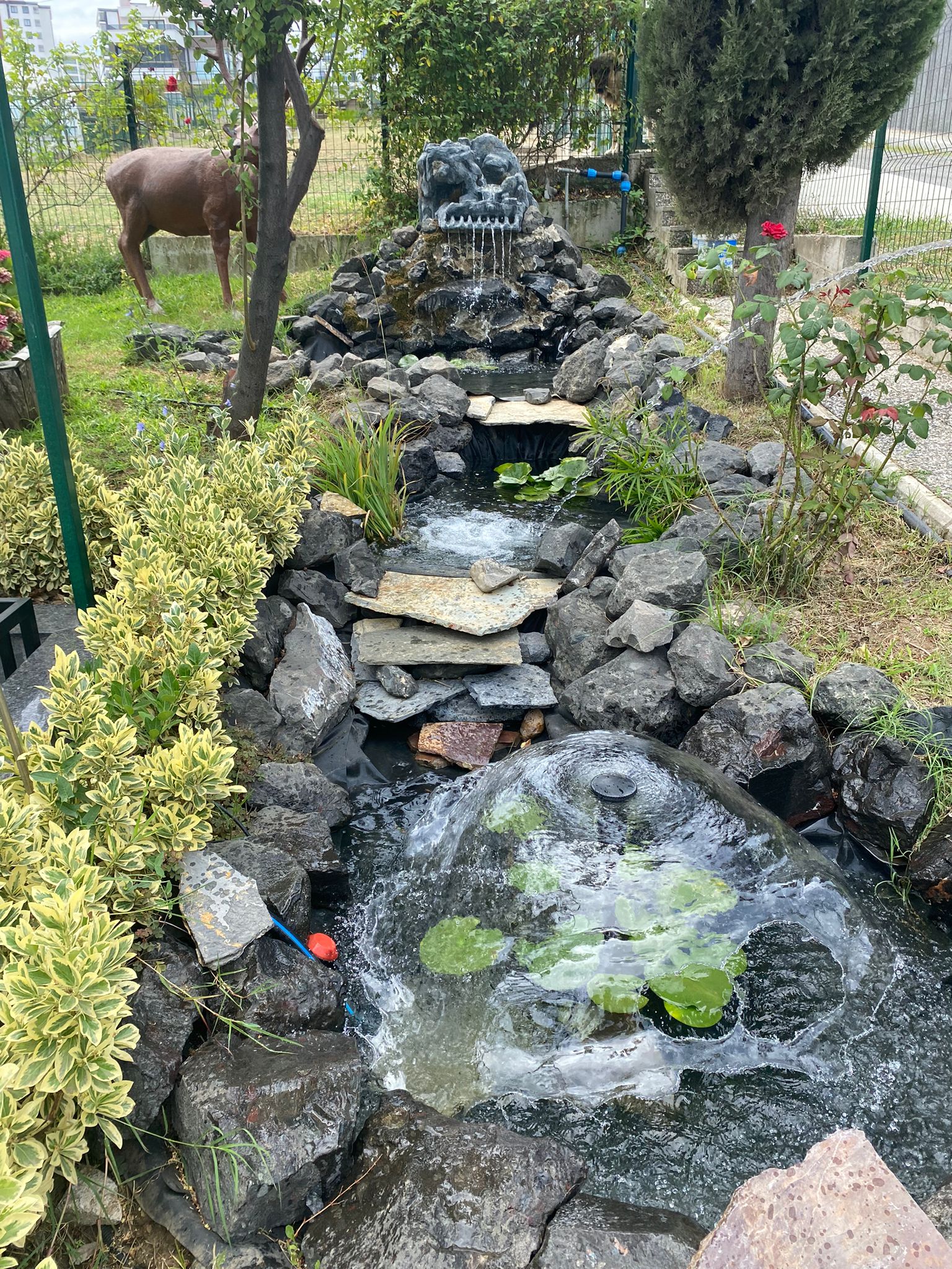 beykoz gunyuzu konaklari selale havuz 1