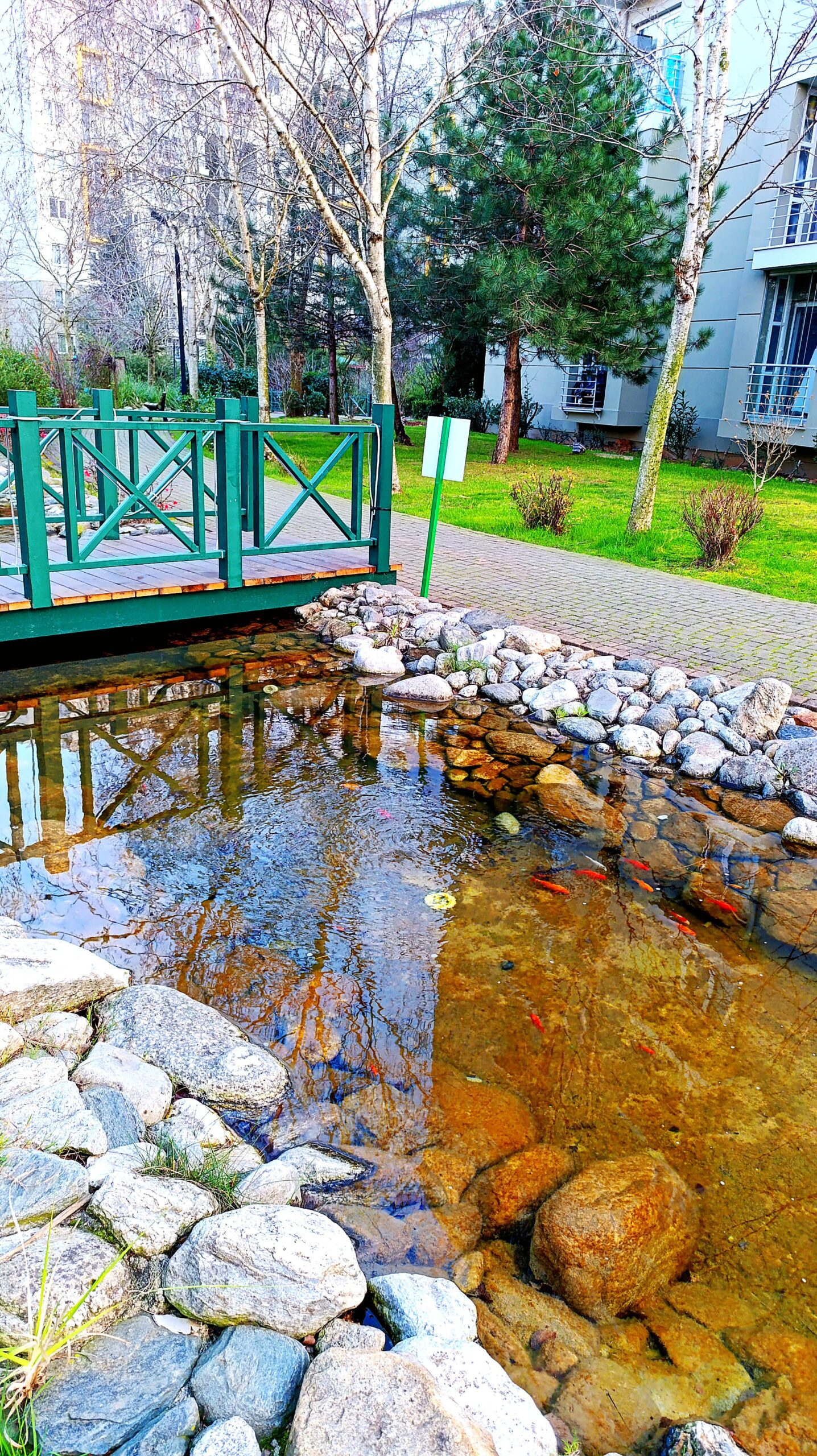 dumankaya trend biyolojik kanal ve golet scaled