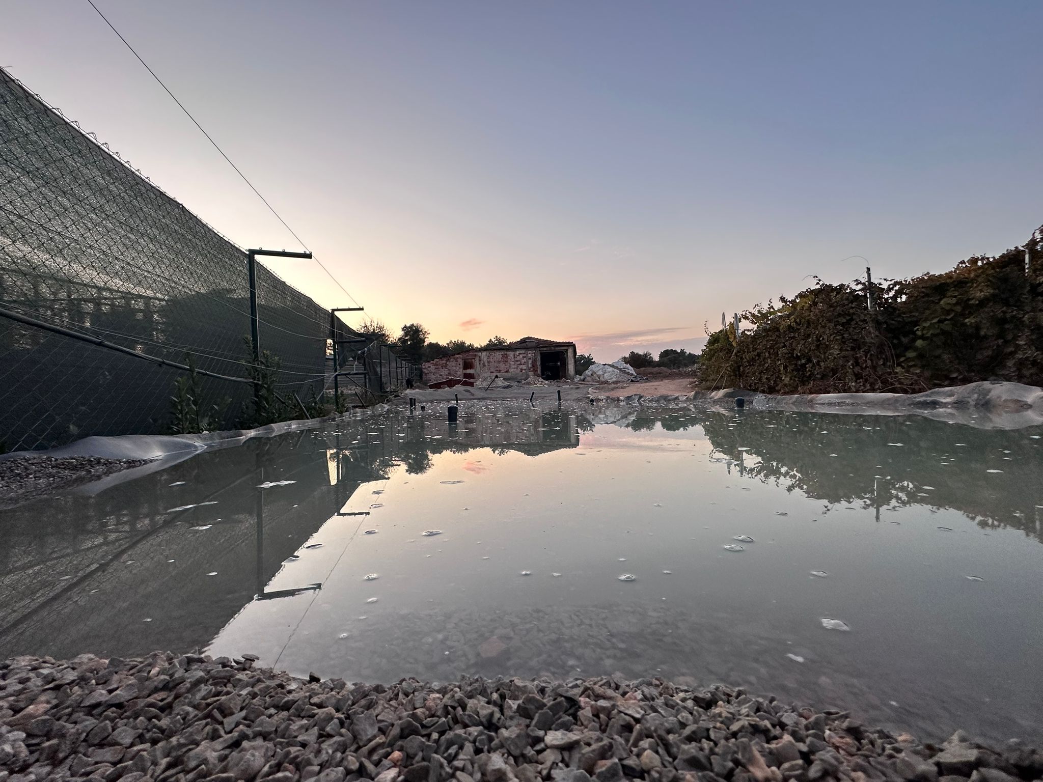 izmir biyolojik golet