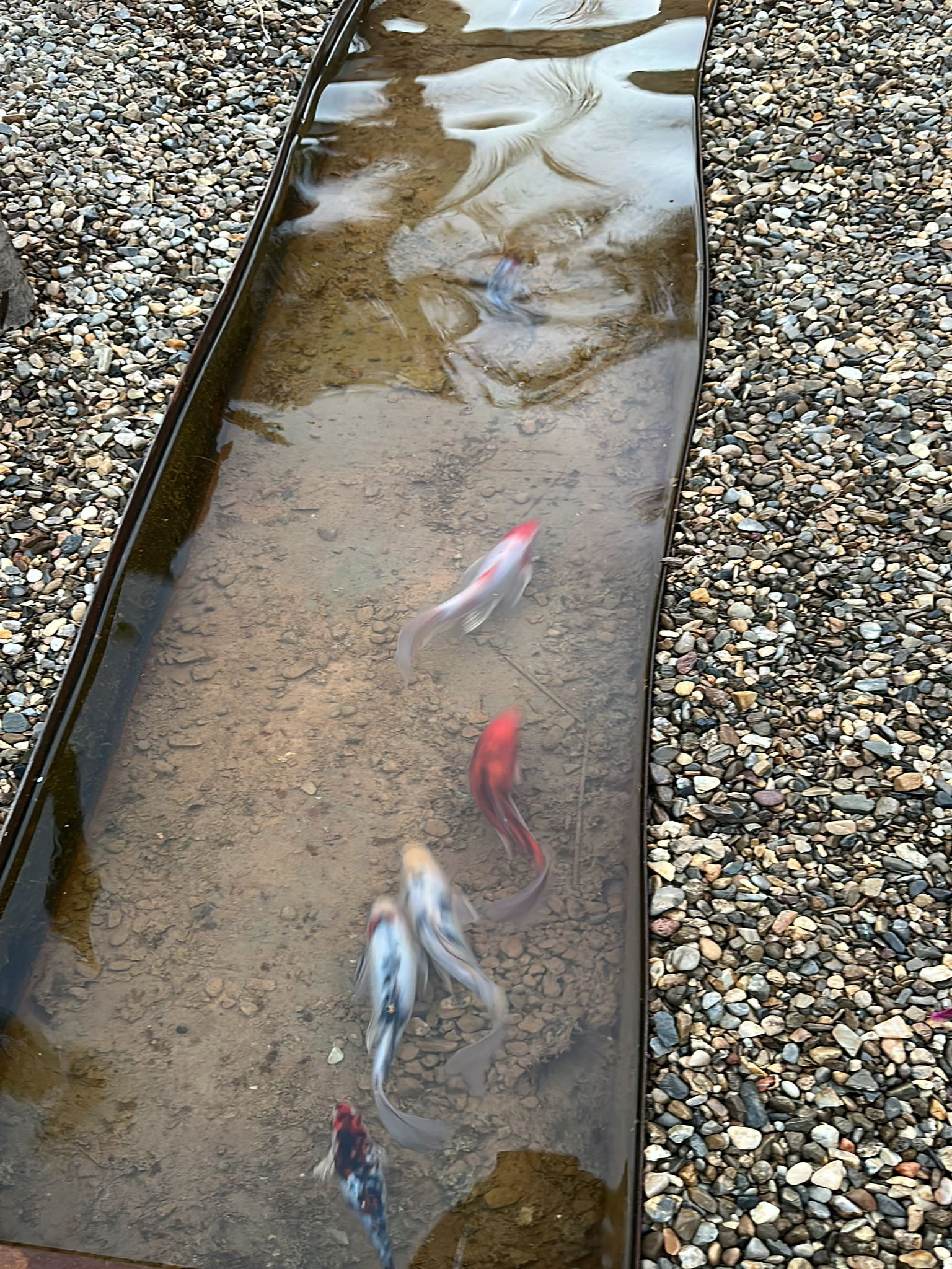 kis bahcesi kanal havuzu