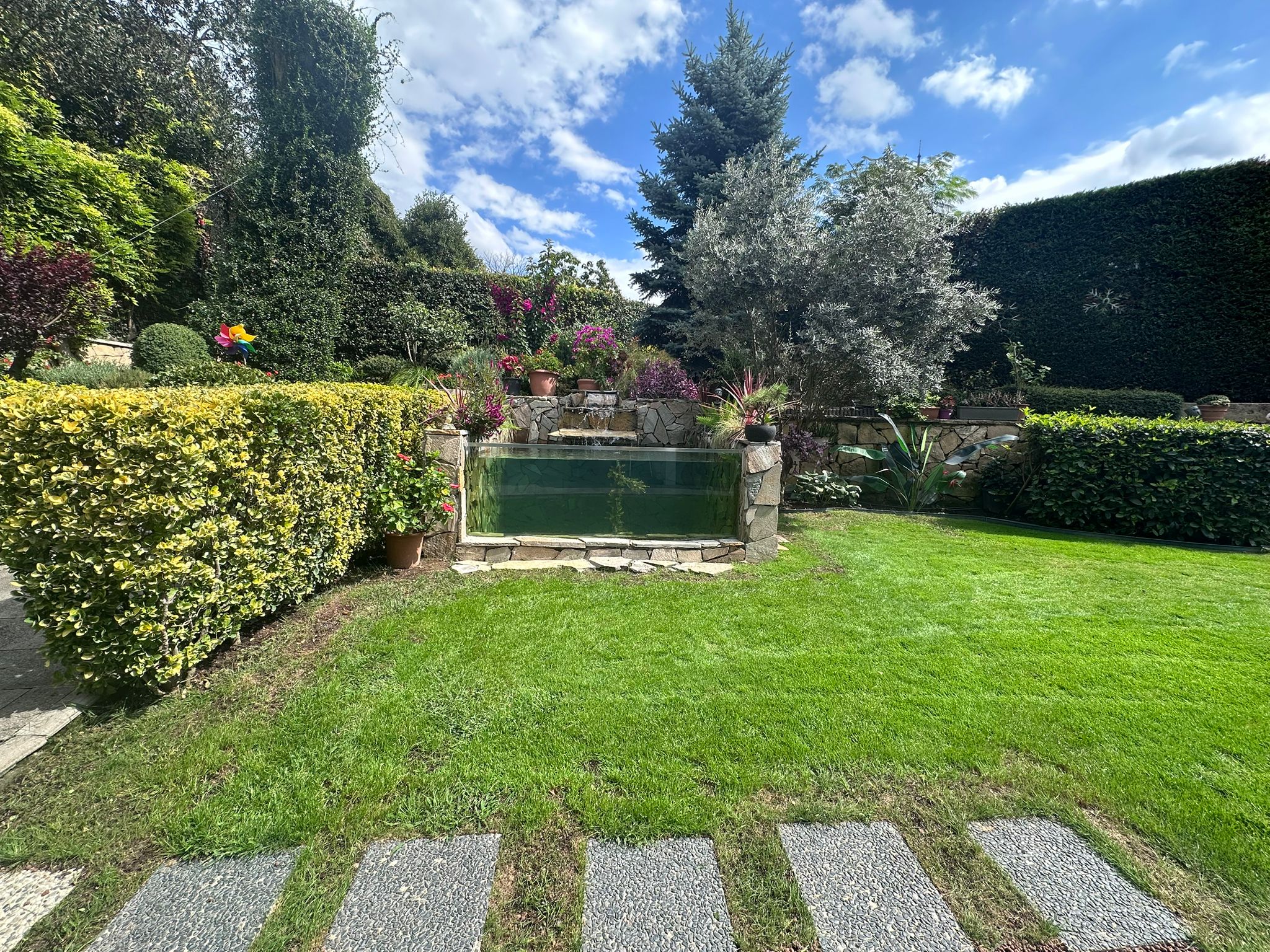 sakli bahce kanaklari cam havuzu 2