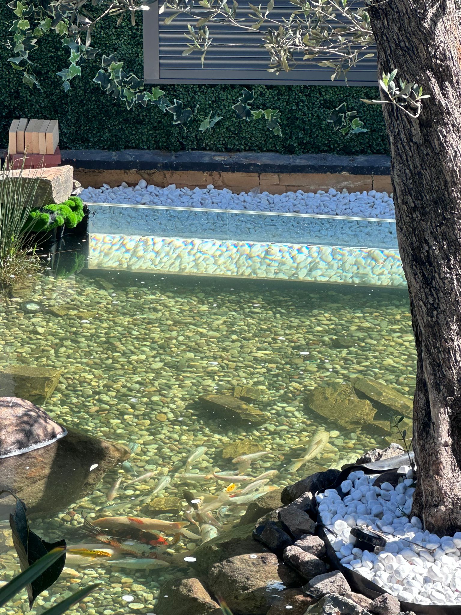 villa tipi camli selale havuzu 1