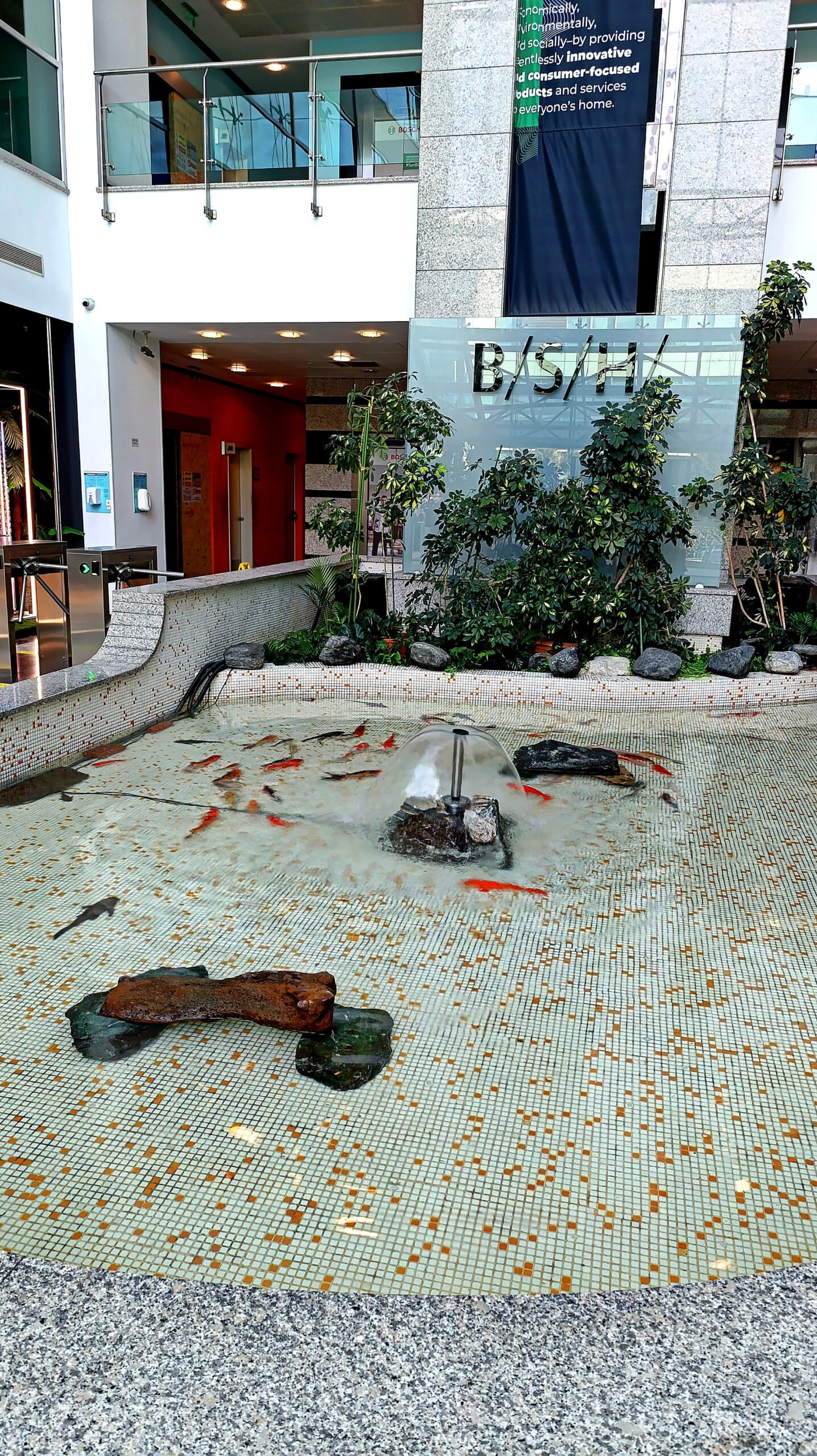 bsh balikhavuzu1 scaled