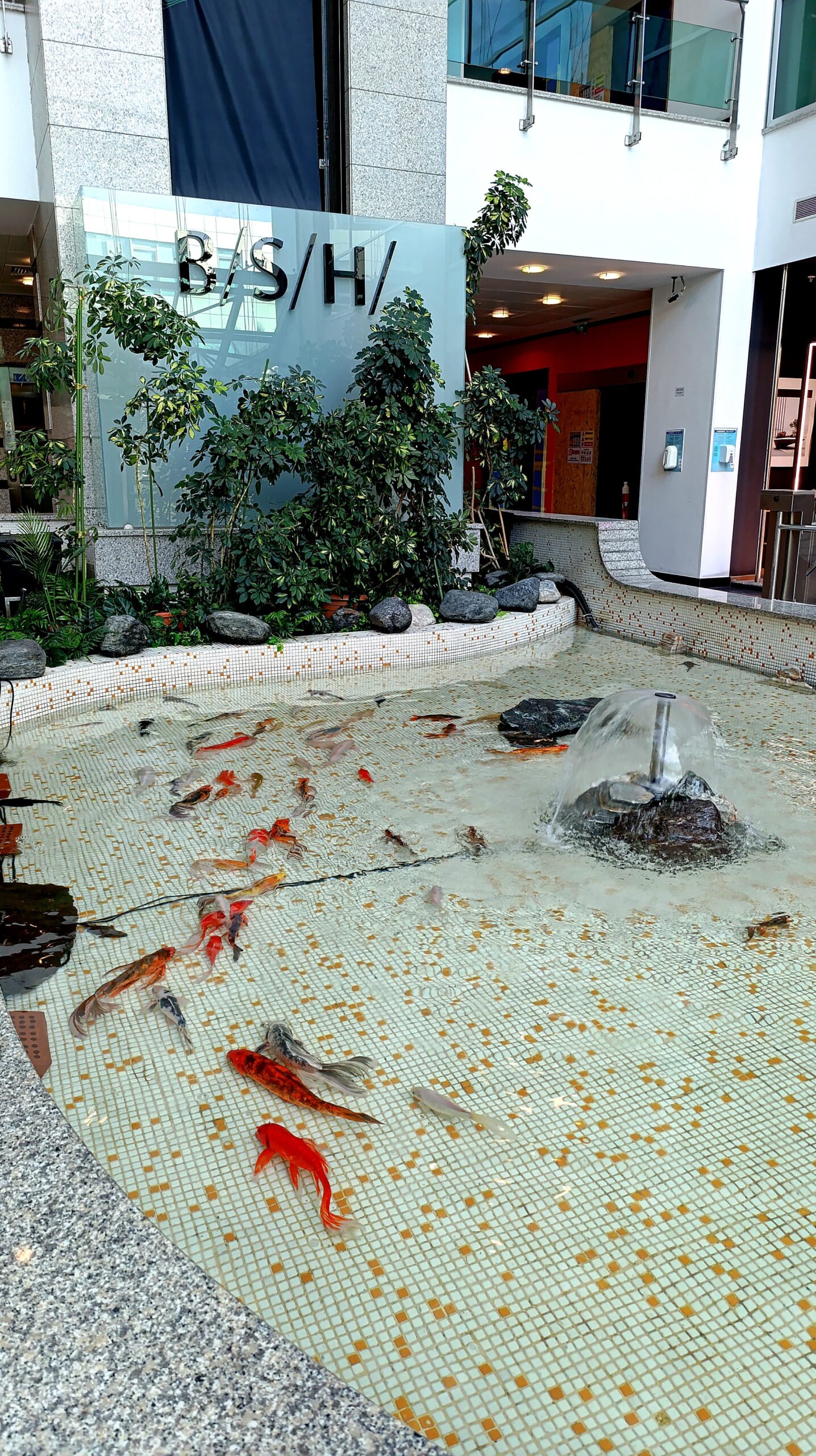 bsh balikhavuzu2 scaled